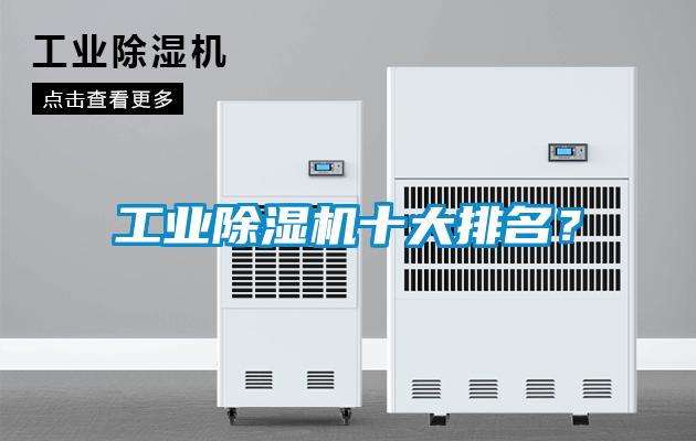 国产精品三级在线观看 工业除湿机十大排名？