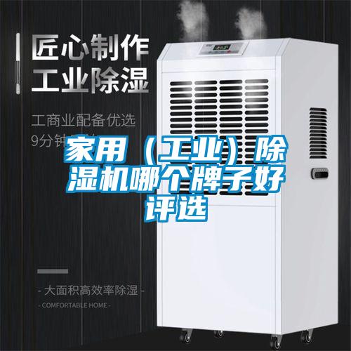 国产精品探花在线观看 家用（工业）除湿机哪个牌子好评选