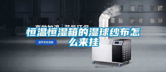 国产精品欧美激情视频 恒温恒湿箱的湿球纱布怎么来挂