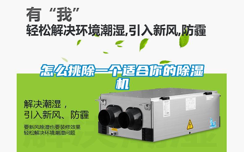 国产精品三级在线观看 怎么挑除一个适合你的除湿机
