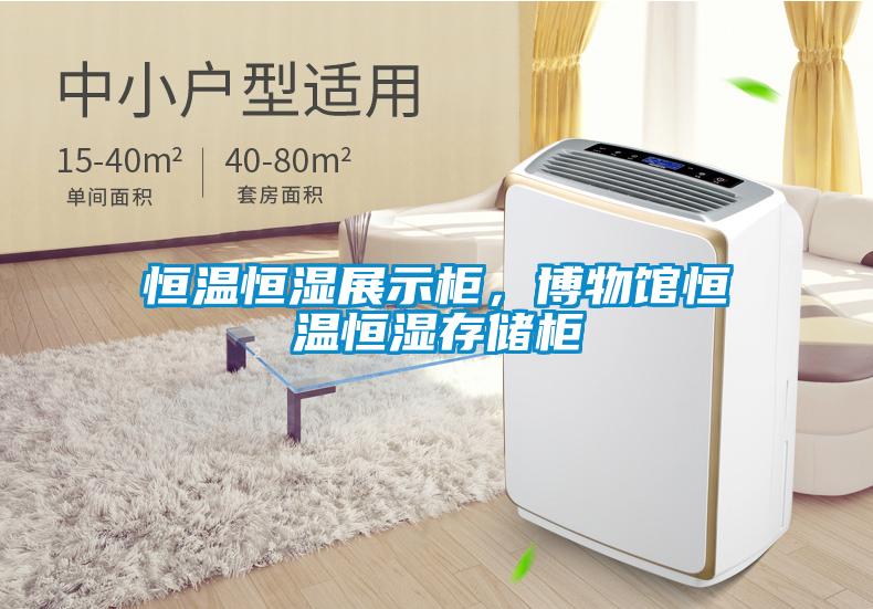 国产精品探花在线观看 恒温恒湿展示柜，博物馆恒温恒湿存储柜