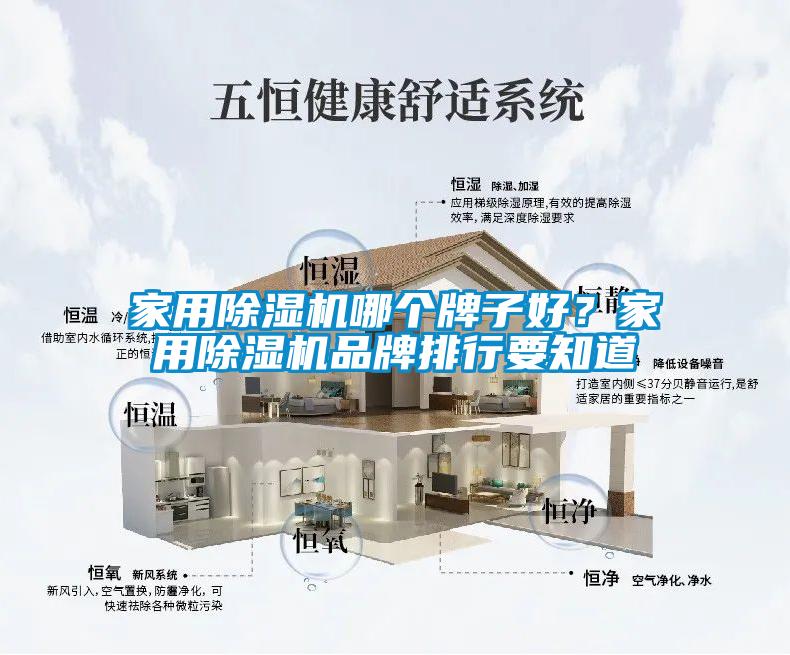 国产精品探花在线观看 家用除湿机哪个牌子好？家用除湿机品牌排行要知道