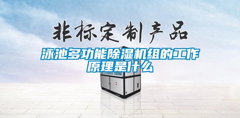 国产精品三级在线观看 泳池多功能除湿机组的工作原理是什么