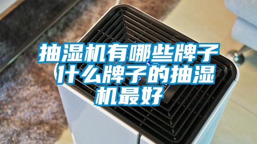 国产精品三级在线观看 抽湿机有哪些牌子 什么牌子的抽湿机最好