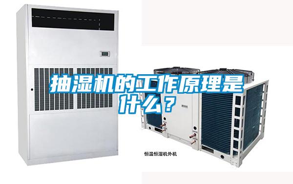 国产精品三级在线观看 抽湿机的工作原理是什么？