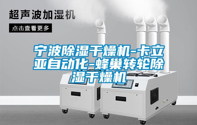 国产精品三级在线观看 宁波除湿干燥机-卡立亚自动化-蜂巢转轮除湿干燥机