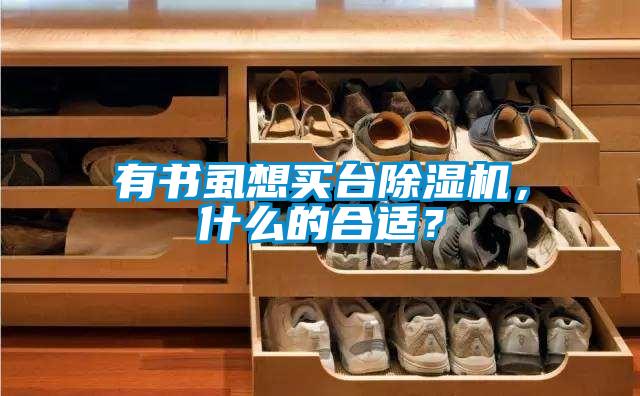 国产精品欧美激情视频 有书虱想买台除湿机，什么的合适？