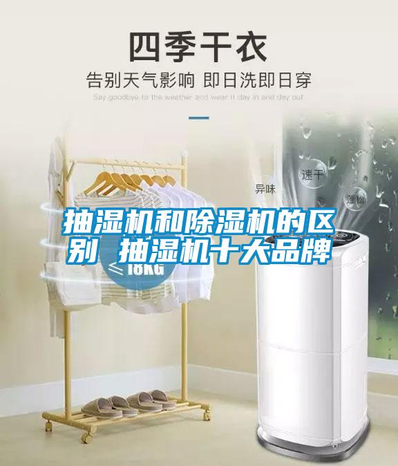 国产精品探花在线观看 抽湿机和除湿机的区别 抽湿机十大品牌