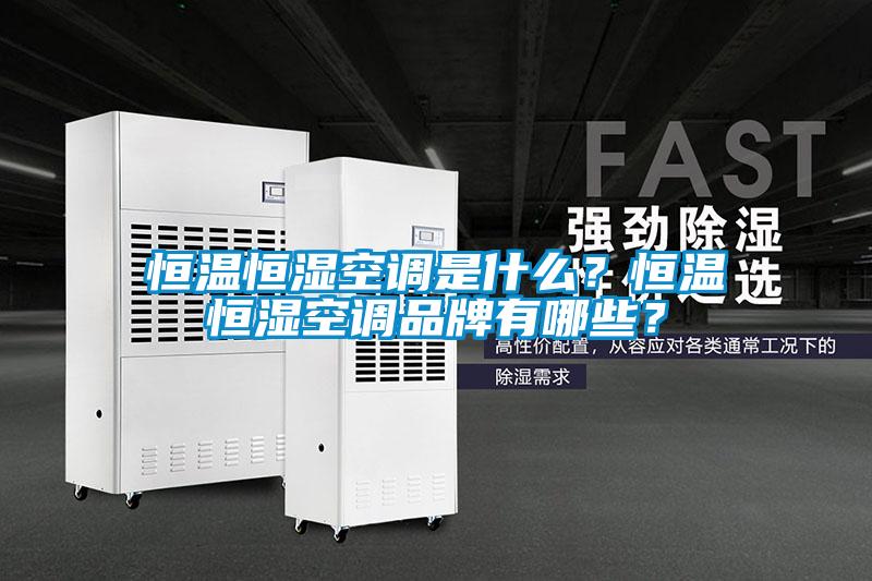 国产精品欧美激情视频 恒温恒湿空调是什么？恒温恒湿空调品牌有哪些？