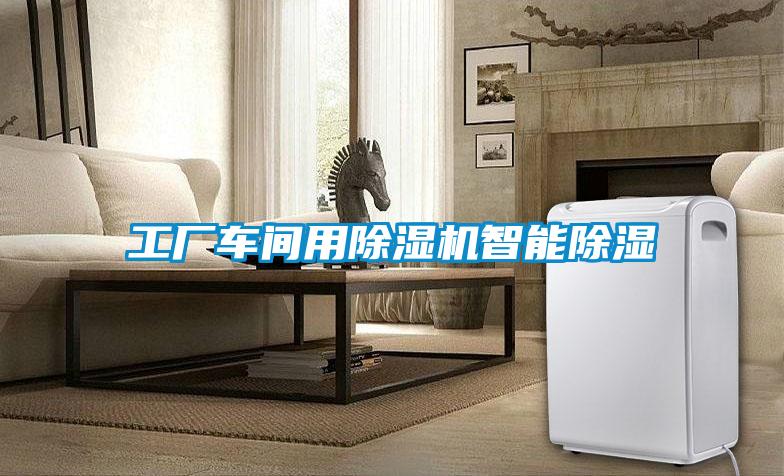 国产精品探花在线观看 工厂车间用除湿机智能除湿