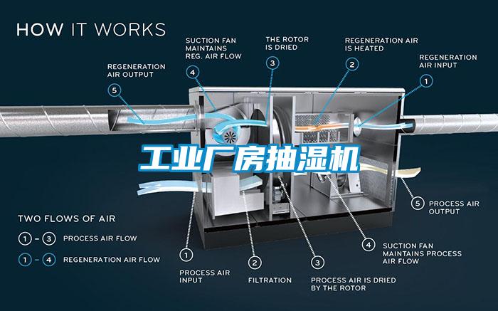 国产精品欧美激情视频 工业厂房抽湿机
