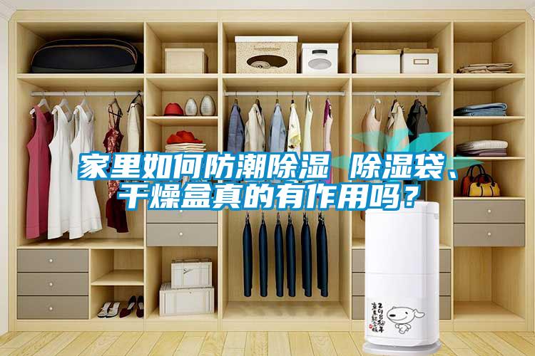 国产精品三级在线观看 家里如何防潮除湿 除湿袋、干燥盒真的有作用吗？