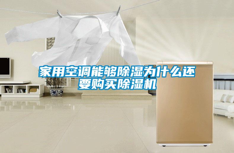 国产精品三级在线观看 家用空调能够除湿为什么还要购买除湿机
