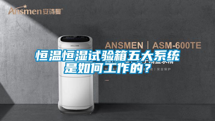 国产精品欧美激情视频 恒温恒湿试验箱五大系统是如何工作的？