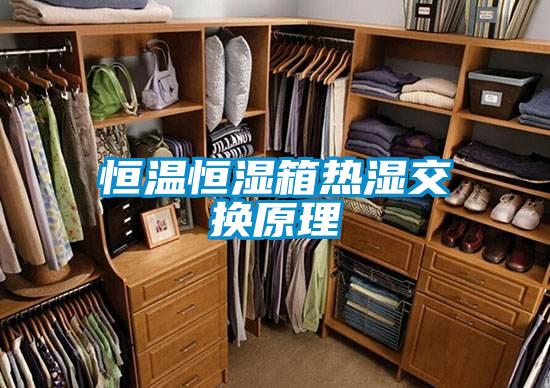 国产精品三级在线观看 恒温恒湿箱热湿交换原理