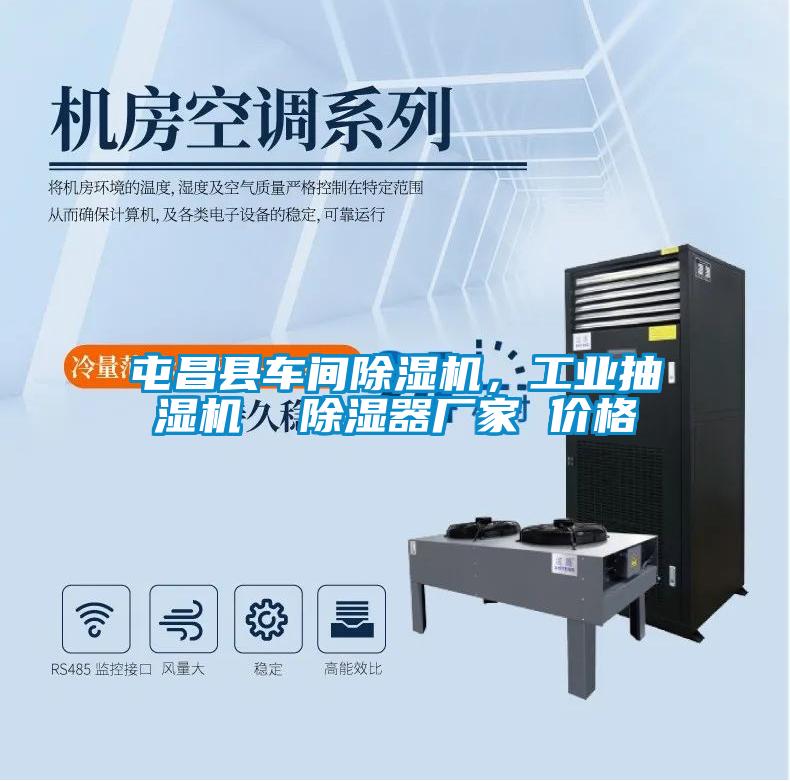 国产精品三级在线观看 屯昌县车间除湿机，工业抽湿机  除湿器厂家 价格