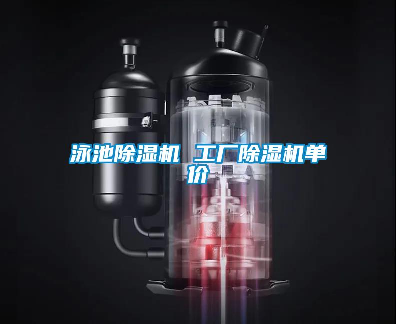 国产精品三级在线观看 泳池除湿机 工厂除湿机单价