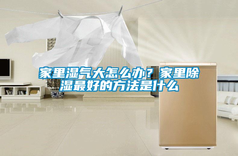 国产精品三级在线观看 家里湿气大怎么办？家里除湿最好的方法是什么