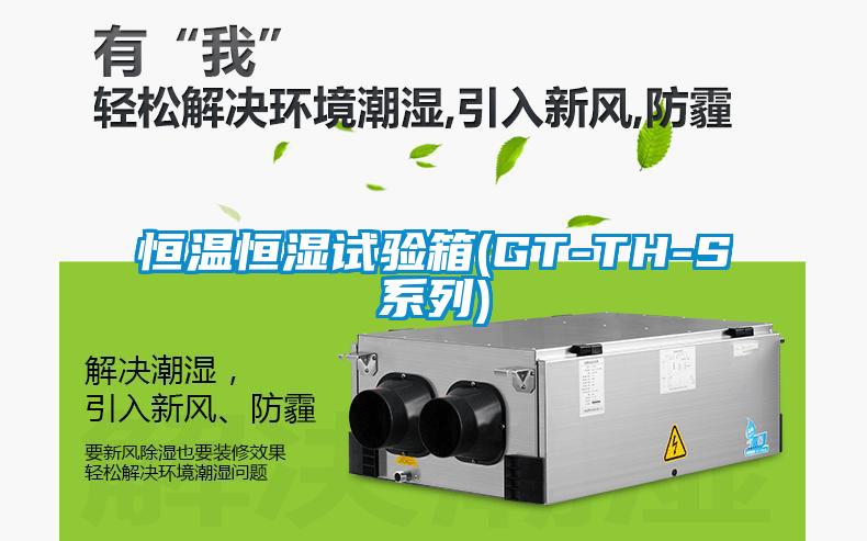 国产精品三级在线观看 恒温恒湿试验箱(GT-TH-S系列)