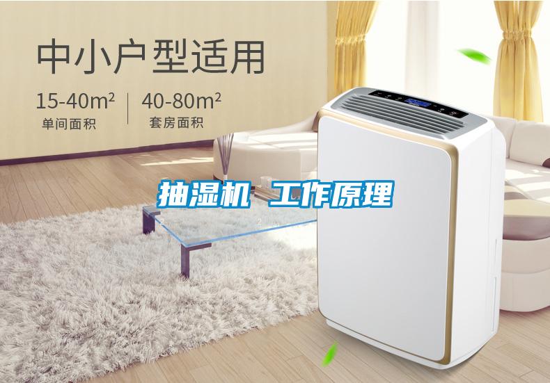 国产精品三级在线观看 抽湿机 工作原理
