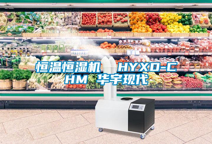 国产精品三级在线观看 恒温恒湿机  HYXD-CHM 华宇现代