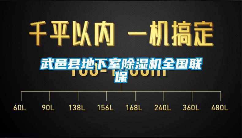 国产精品欧美激情视频 武邑县地下室除湿机全国联保
