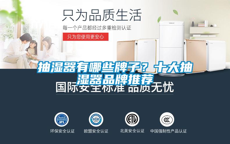 国产精品三级在线观看 抽湿器有哪些牌子？十大抽湿器品牌推荐