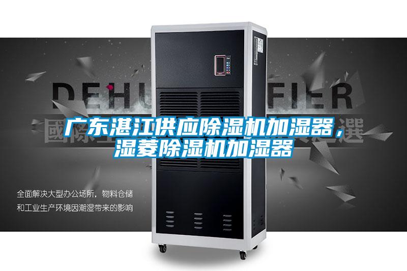 国产精品欧美激情视频 广东湛江供应除湿机加湿器，湿菱除湿机加湿器