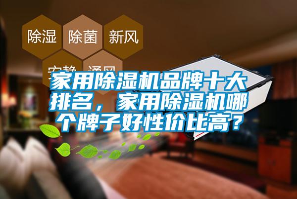 国产精品欧美激情视频 家用除湿机品牌十大排名，家用除湿机哪个牌子好性价比高？