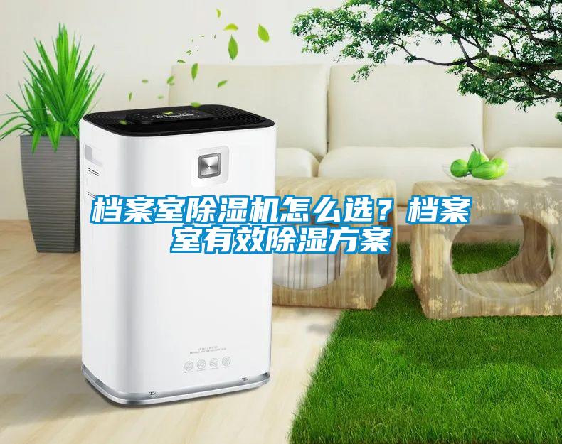 国产精品欧美激情视频 档案室除湿机怎么选？档案室有效除湿方案