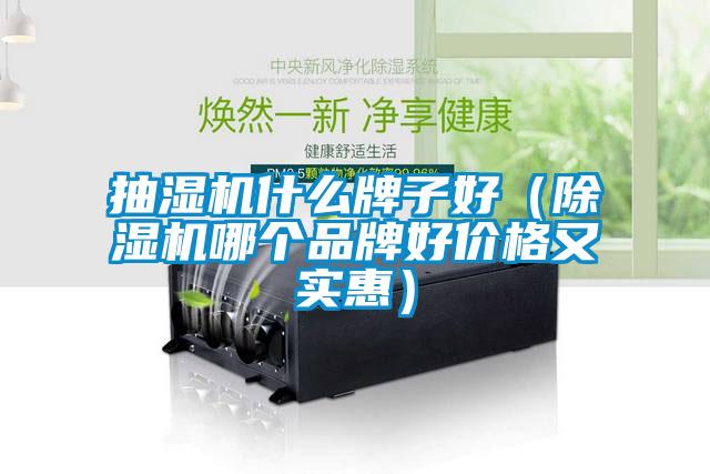 国产精品三级在线观看 抽湿机什么牌子好（除湿机哪个品牌好价格又实惠）
