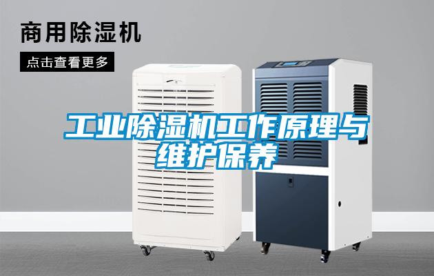 国产精品三级在线观看 工业除湿机工作原理与维护保养