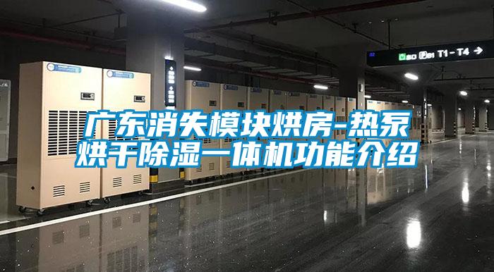 国产精品三级在线观看 广东消失模块烘房-热泵烘干除湿一体机功能介绍