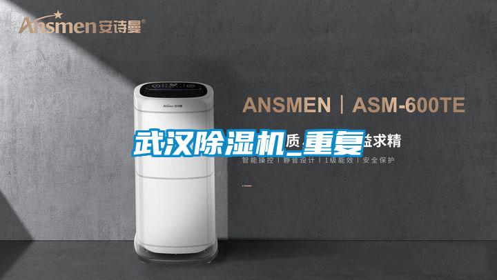 国产精品探花在线观看 武汉除湿机_重复