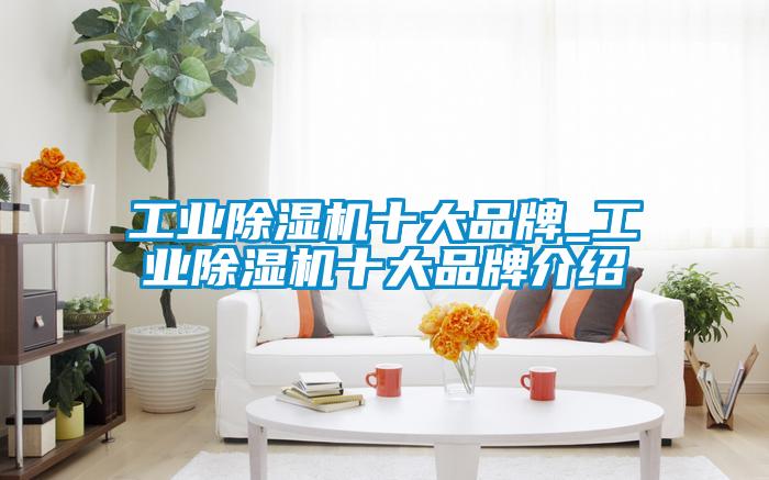 国产精品欧美激情视频 工业除湿机十大品牌_工业除湿机十大品牌介绍