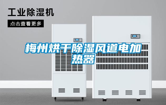 国产精品三级在线观看 梅州烘干除湿风道电加热器