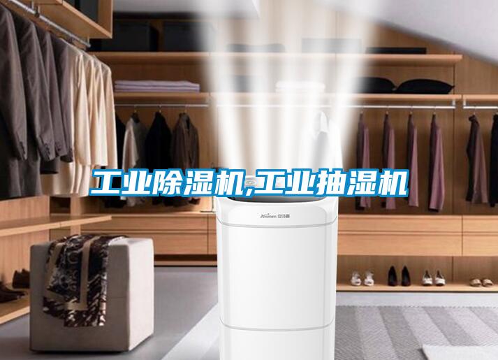 国产精品三级在线观看 工业除湿机,工业抽湿机