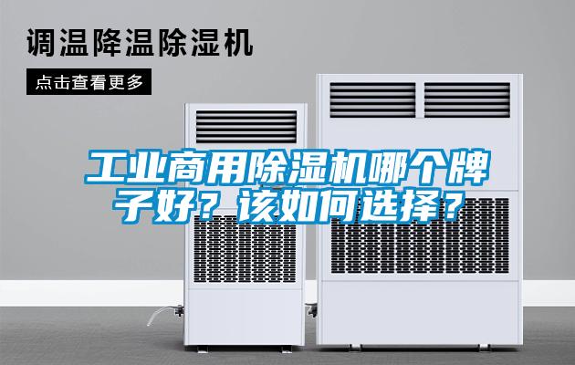 国产精品欧美激情视频 工业商用除湿机哪个牌子好？该如何选择？