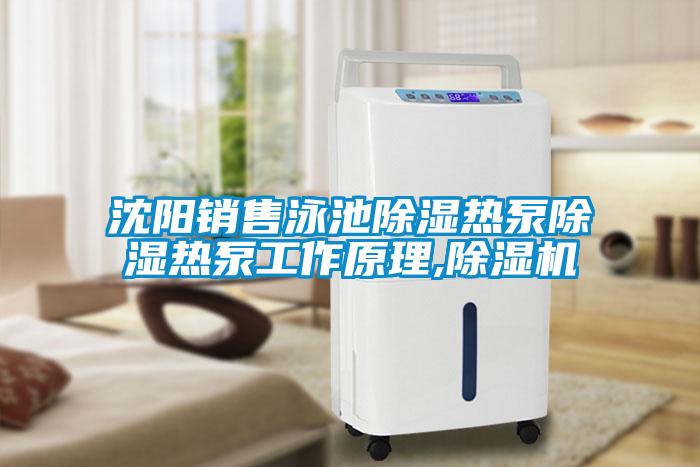 国产精品欧美激情视频 沈阳销售泳池除湿热泵除湿热泵工作原理,除湿机