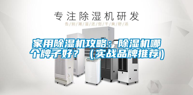 国产精品欧美激情视频 家用除湿机攻略：除湿机哪个牌子好？（实战品牌推荐）