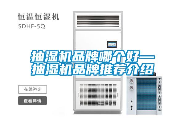 国产精品三级在线观看 抽湿机品牌哪个好—抽湿机品牌推荐介绍