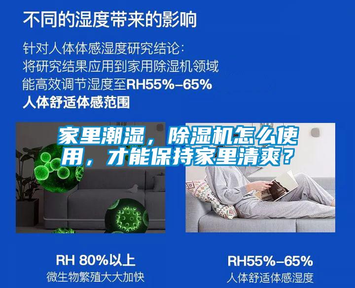 国产精品欧美激情视频 家里潮湿，除湿机怎么使用，才能保持家里清爽？