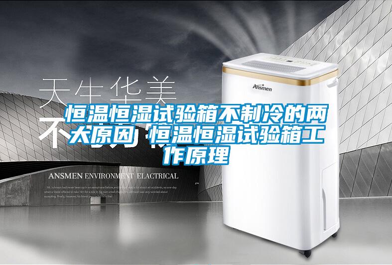 国产精品欧美激情视频 恒温恒湿试验箱不制冷的两大原因 恒温恒湿试验箱工作原理