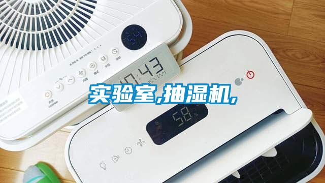 国产精品三级在线观看 实验室,抽湿机,