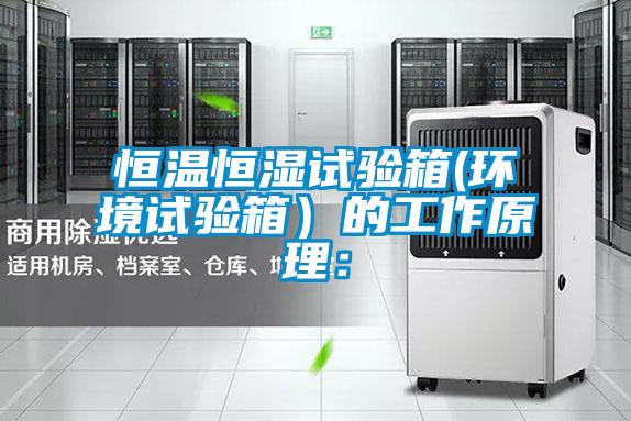 国产精品探花在线观看 恒温恒湿试验箱(环境试验箱）的工作原理：