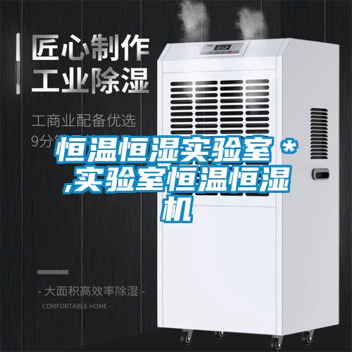 国产精品探花在线观看 恒温恒湿实验室＊,实验室恒温恒湿机
