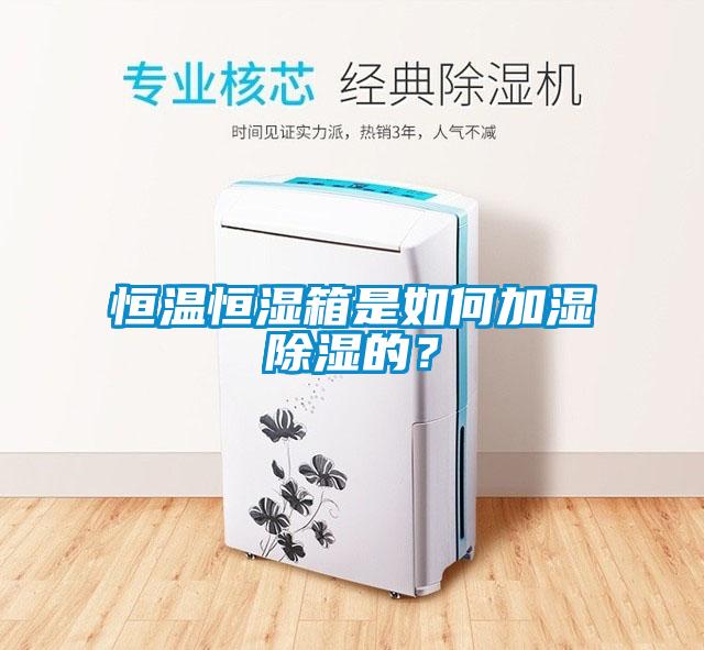 国产精品三级在线观看 恒温恒湿箱是如何加湿除湿的？
