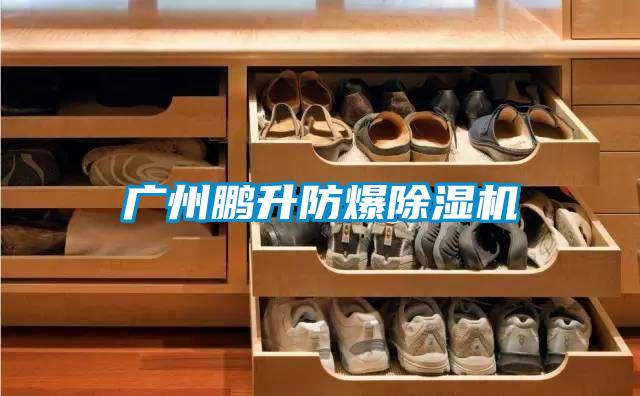 国产精品探花在线观看 广州鹏升防爆除湿机
