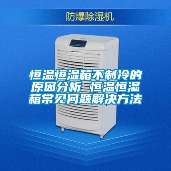 国产精品欧美激情视频 恒温恒湿箱不制冷的原因分析 恒温恒湿箱常见问题解决方法