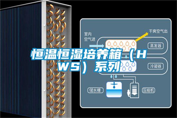 国产精品探花在线观看 恒温恒湿培养箱（HWS）系列